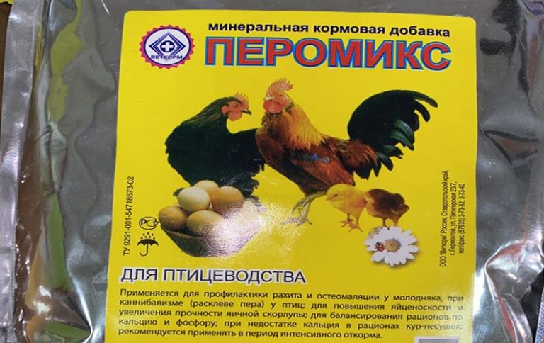 Несушка Коралл Характеристика Фото